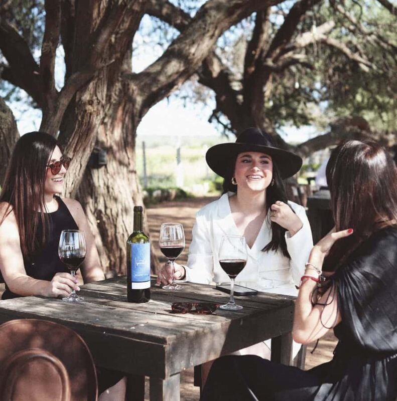 VINEYARD TOUR - Key Points