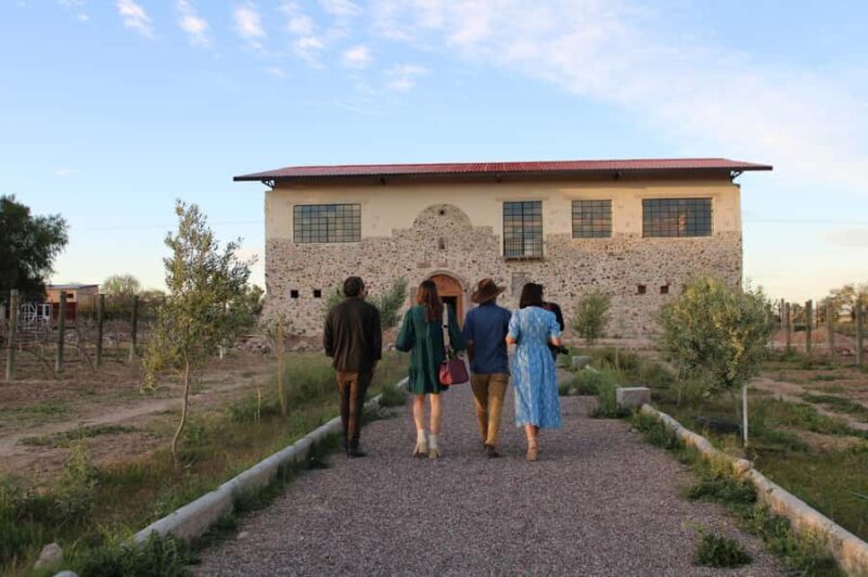 VINEYARD TOUR - An In-Depth Look at the Vineyard Tour