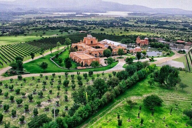 Vineyard, tour, tasting and fun in San Miguel de Allende - Key Points