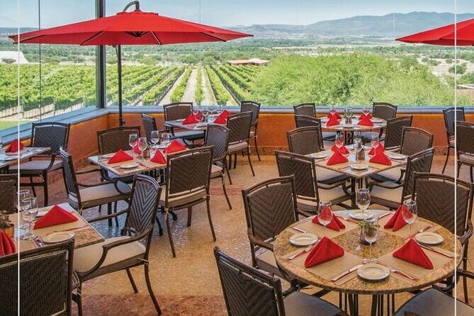 Vineyard, tour, tasting and fun in San Miguel de Allende - An In-Depth Look at the Vineyard Tour Experience