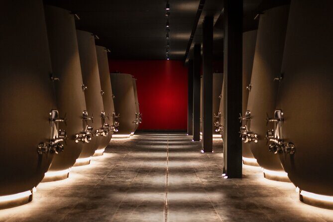 Vineyard Tour with Light Lunch in Valpolicella - What to Expect from the Tour