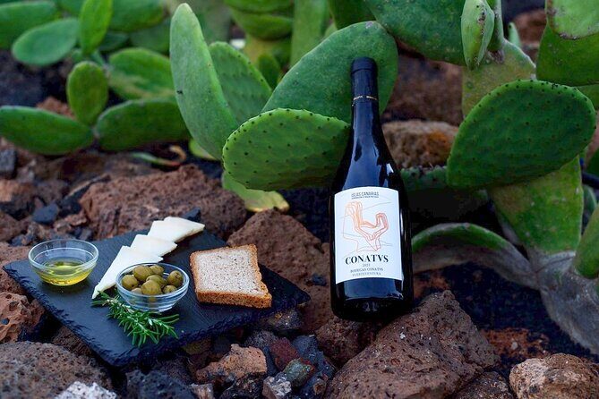 Vineyard tour with wine tasting and local products - A Closer Look at the Vineyard Experience