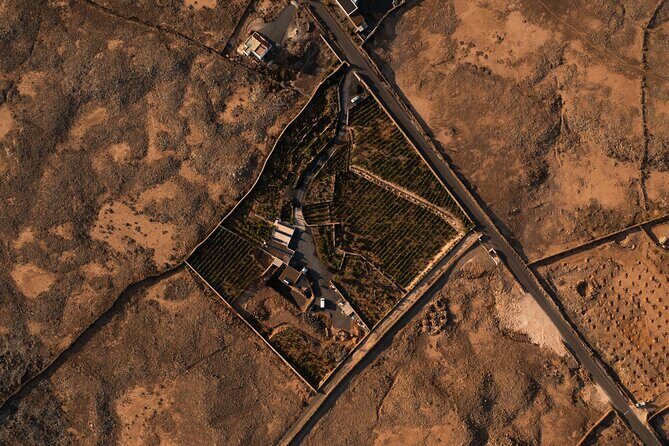 Vineyard tour with wine tasting and local products - The Local Products and Their Charm