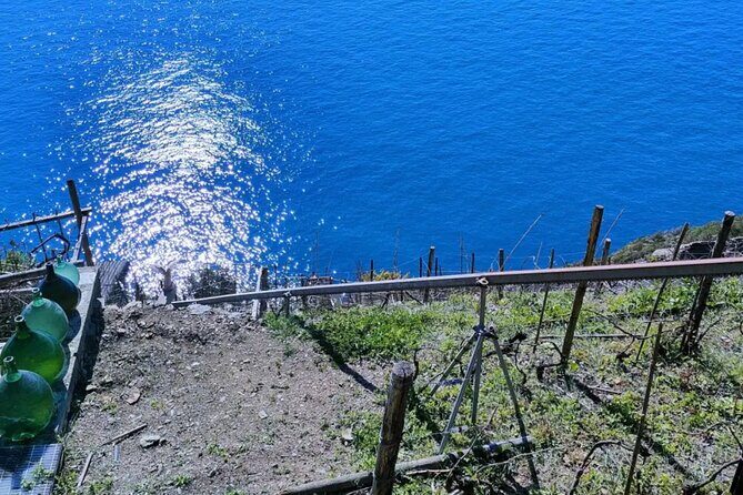 Vineyard Tour with Wine Tasting in Cinque Terre - Key Points