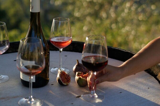 Vineyard Tour with Wine Tasting within Nice city borders - What to Expect from This Vineyard Tour