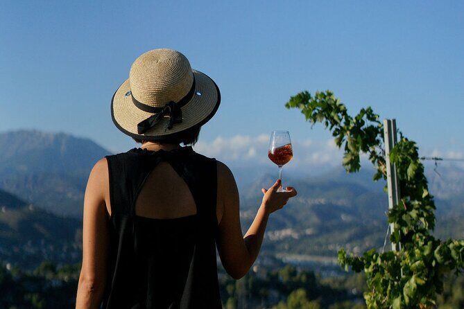Vineyard Tour with Wine Tasting within Nice city borders - Who Should Consider This Tour?
