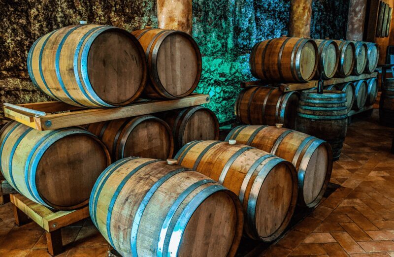 Vineyard Walk & Wine Tasting in the Berici Hills of Vicenza - What to Expect from the Tour