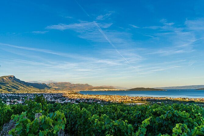 Vineyard Wine Tasting Experience with a Sea view from Split - FAQ