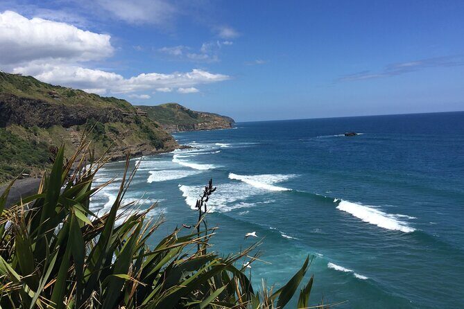 Vineyards Honey and Black Sand Beaches from Auckland - FAQs