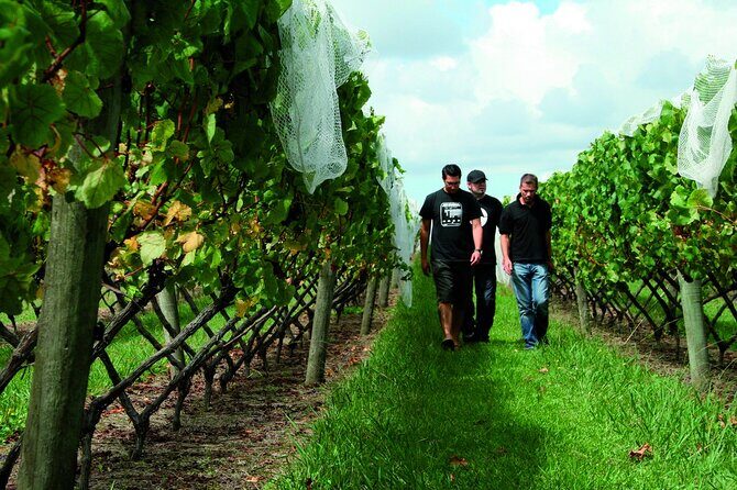 Vineyards Honey and Black Sand Beaches from Auckland - Final thoughts