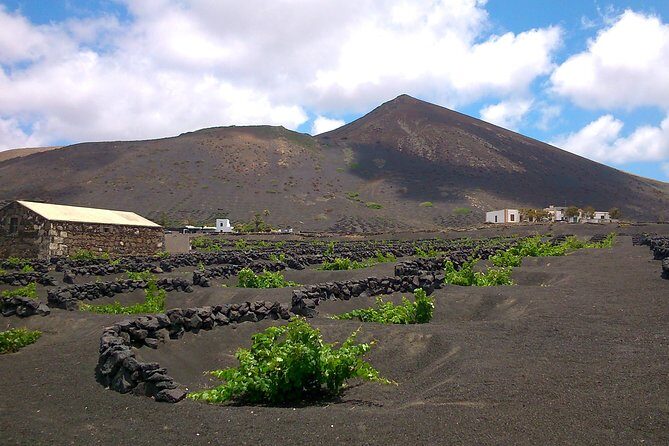 Vineyards of La Geria hiking tour - The Experience: What to Expect on the Tour