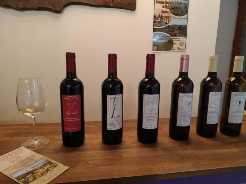 vingrau : wine tasting - Key Points