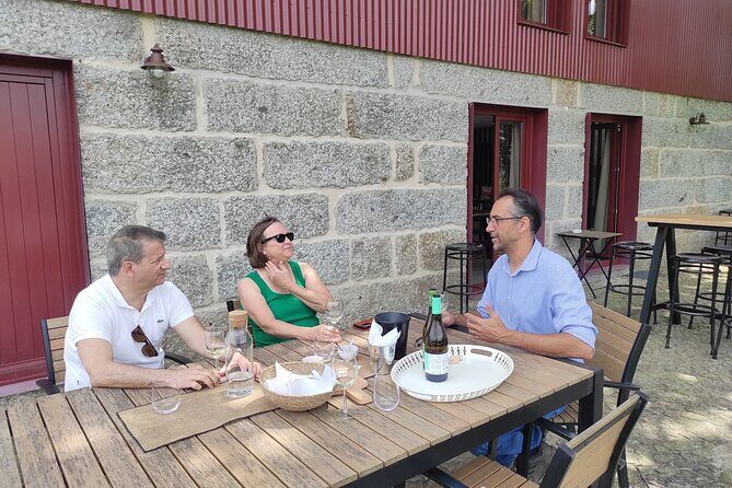 Vinho Verde 2 Wineries + Cultural Guimarães - Private/from Porto - An Honest Look at the Experience