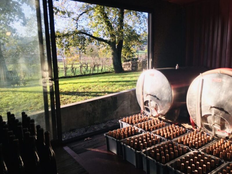 Vinho Verde 2 Wineries + Guimarães - from Porto - An In-Depth Look at the Tour Itinerary and Highlights