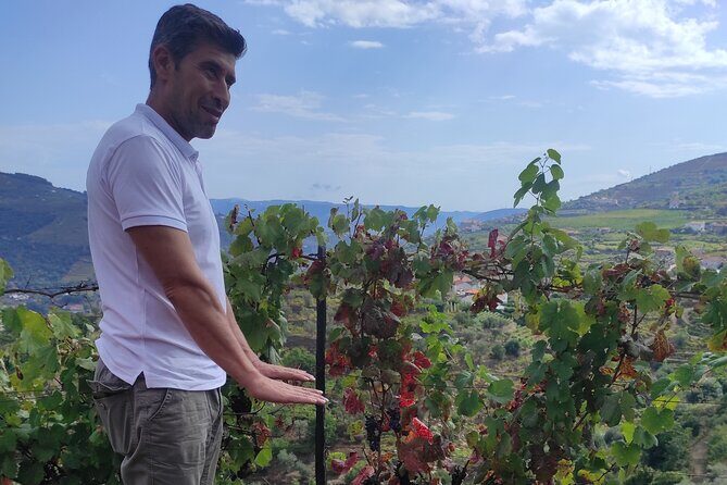 Vinho Verde Experience - Private & Exclusive - FAQs