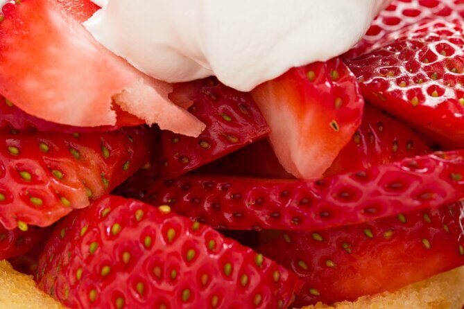 Vino Vibes Carlsbad Wine Crawl and Italian Bites - Who Will Love This Tour?