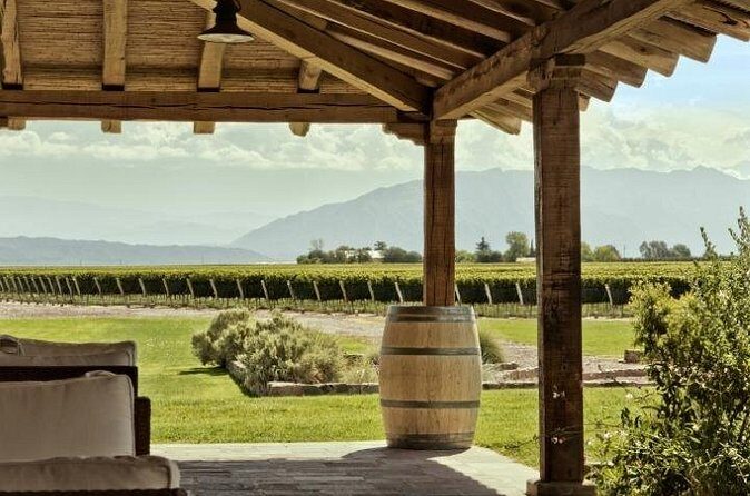 Vino Voyage Niagara Wine Country Bus Tour - Who Should Consider This Tour?