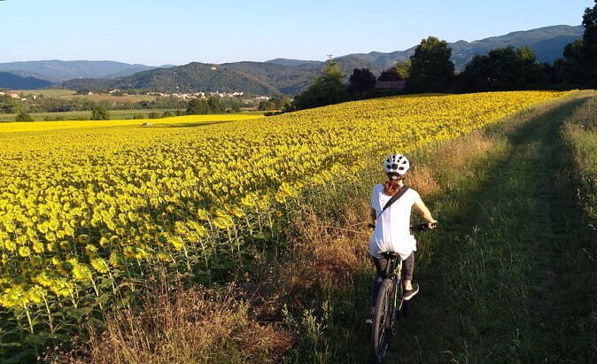 Vintage Fiat 500 Chianti Classico Wine Tour and Tuscan Lunch - Panoramic Overlooks and Photo Opportunities