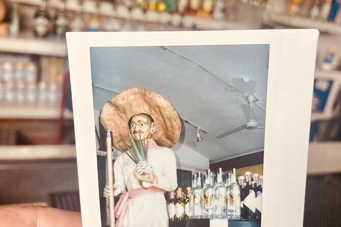 Vintage Polaroid Film Shoot in Puerto Vallartas Secret Spots - Who Should Consider This Tour?