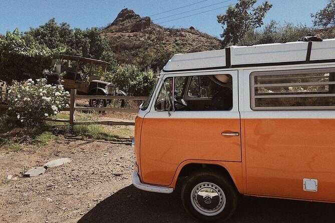 Vintage VW Hippie Shared Tour to Malibu with Wine Tasting - Who would enjoy this tour?