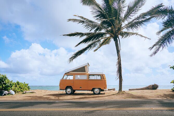 Vintage VW Turtle Tour on the North Shore - What Travelers Say