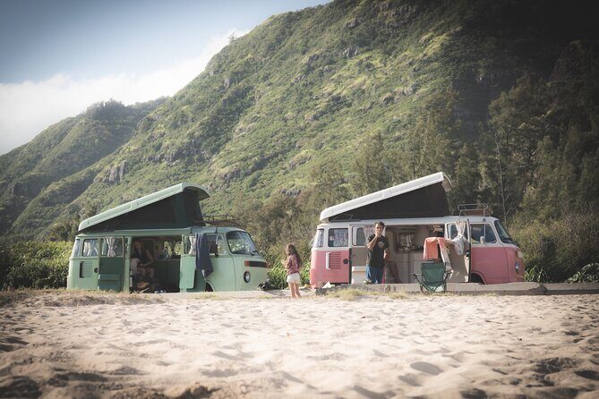 Vintage VW Turtle Tour on the North Shore - Who Should Consider This Tour?