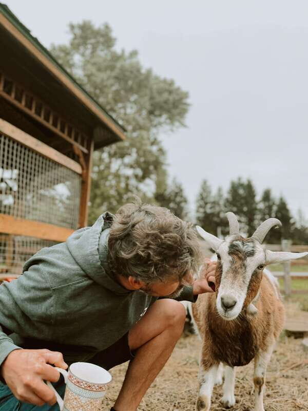 VIP Agritourism Tour of Île d'Orléans & Montmorency Fall - An In-Depth Look at the Tour Experience