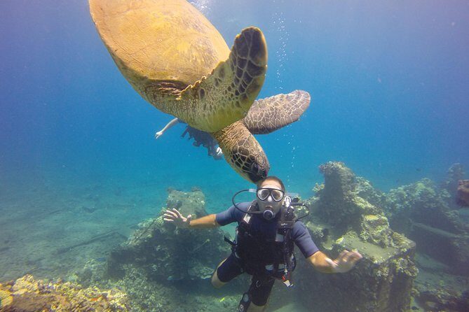 VIP Aloha Nui Snorkel Adventure w/ optional SCUBA from Lahaina - What to Expect During the Day