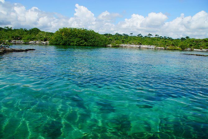 VIP Cenotes Private Tour - What You Can Expect from the Tour