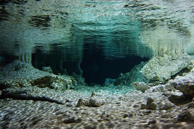 VIP Cenotes Private Tour - Who Is This Tour Best For?