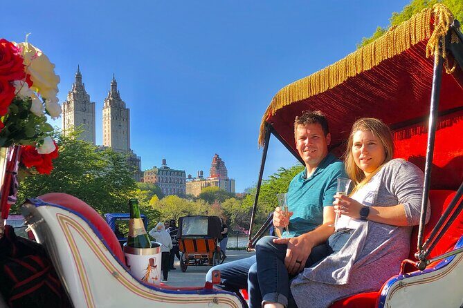 VIP Central Park Champagne Tour with Photos(50 min)~Skip the line - FAQs