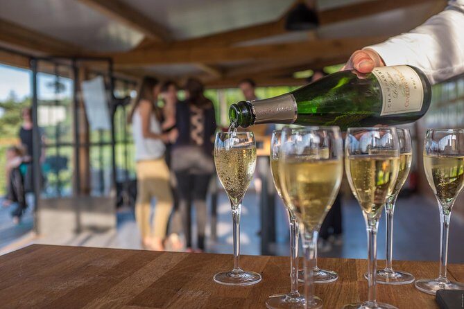 VIP Champagne Region Day Trip with 7 Tastings & Lunch from Paris - What to Expect from the Tastings