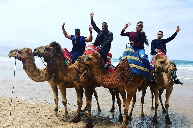 Vip Full Day Private Tangier Tour From Malaga All Inclusive - Authentic Insights from Other Travelers