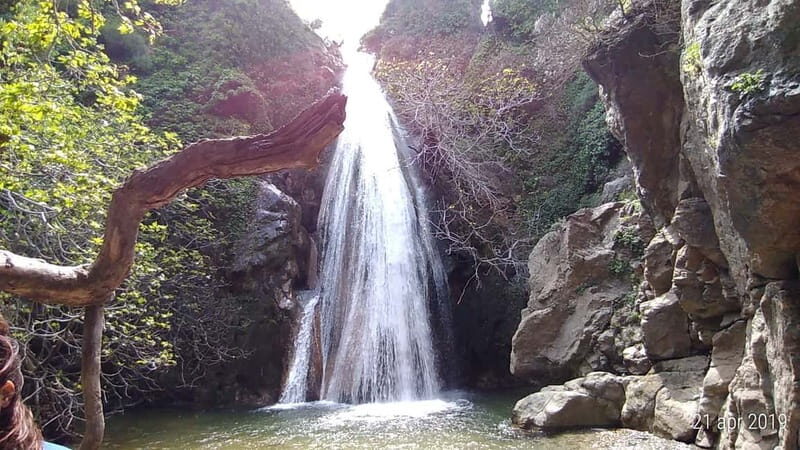 VIP Full-Day Private Tour (See the best with Professionals) - Authentic Feedback from Travelers