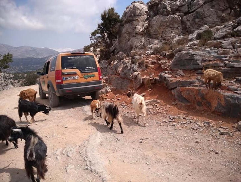 VIP Full-Day Private Tour (See the best with Professionals) - Who Should Consider This Tour?