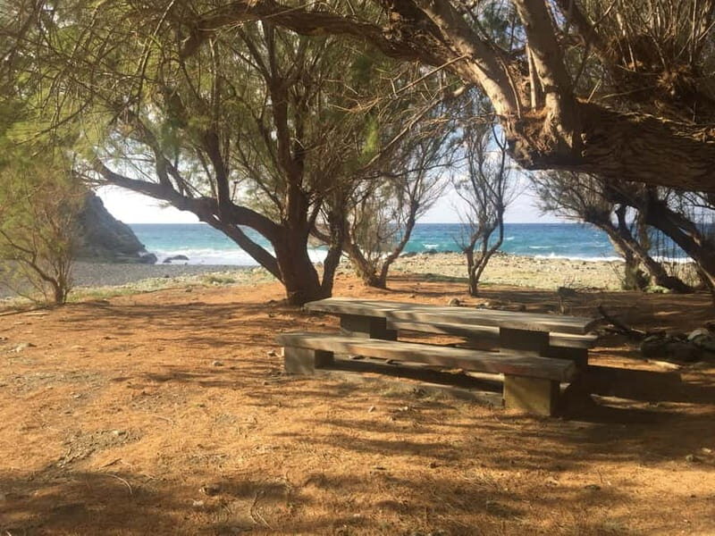 VIP Full-Day Private Tour (See the best with Professionals) - Final Thoughts