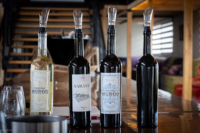 VIP Full Day Wineries Tour from Istanbul - Who Should Consider This Tour?