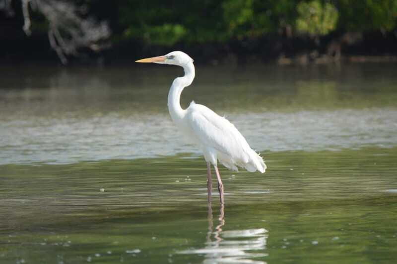VIP Holbox Island Sunrise - 2 Points + Fruit + Coffee - FAQ