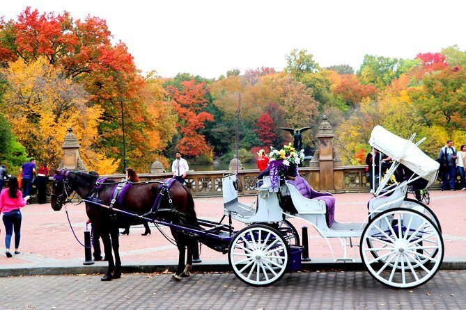 VIP Horse Carriage Ride through Central Park (Up to 4 Adults) - The Stops and Sights