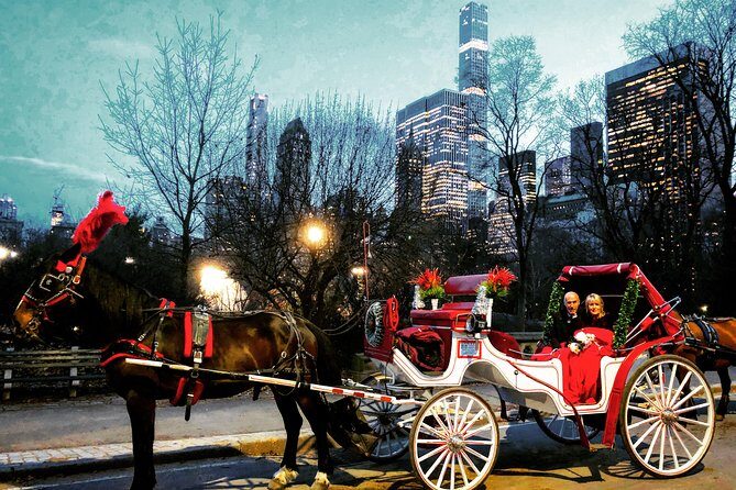 VIP Horse Carriage Ride through Central Park (Up to 4 Adults) - Practical Details: Comfort, Duration, and Price
