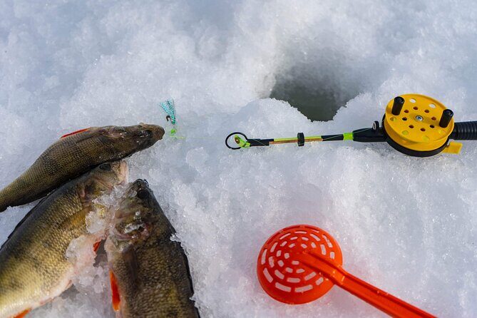 VIP Ice Fishing "ICEBREAKER" Lunch in Glass Igloo - FAQ