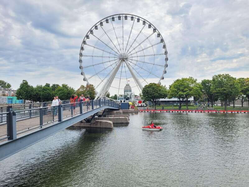 VIP Montreal City Tour 8 Hours with transport - What Makes This Tour Stand Out?