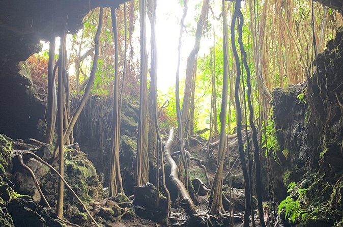 VIP Private Full-Day Road to Hana Tour from Lahaina-Kapalua - Who Is This Tour Best For?