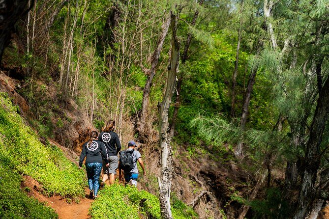 VIP Private Full-Day Road to Hana Tour from Lahaina-Kapalua - Frequently Asked Questions