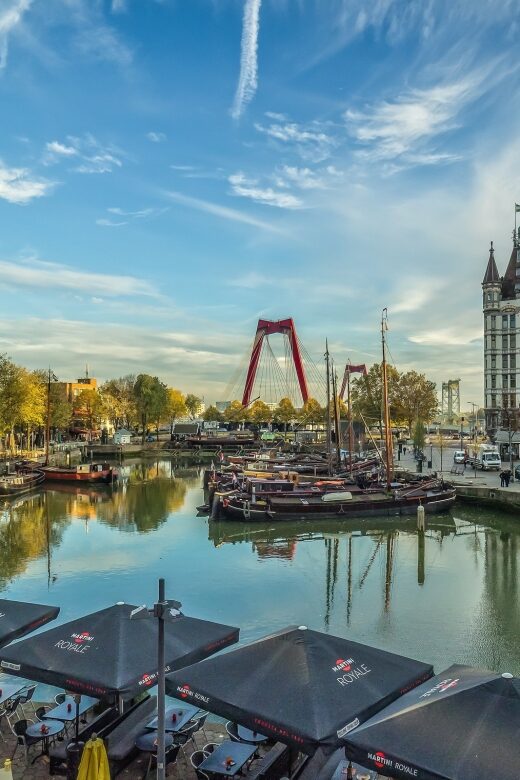 VIP Private Full Day Tour of the Netherlands - The Guide and Transportation