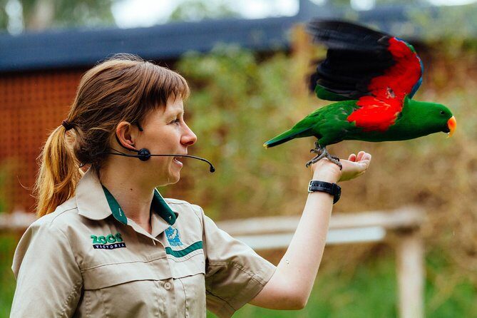 VIP Sanctuary Tour at Healesville Sanctuary - excl. entry - Who Should Consider This Tour?