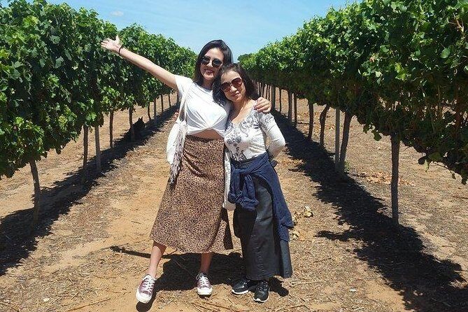 VIP Swan Valley Wine Tour - Premium Small Group Wine & Gourmet Experience - Key Points