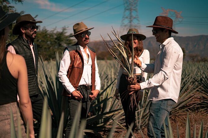 Vip Tequila Experience - Final Thoughts