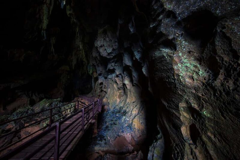 Vip Tour Phong Nha: Paradise Cave & Dark Cave Private Tour - Is It Worth the Price?