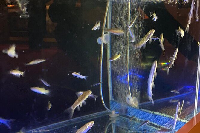 VIP Turkish Bath in Alanya - What to Expect from the VIP Turkish Bath